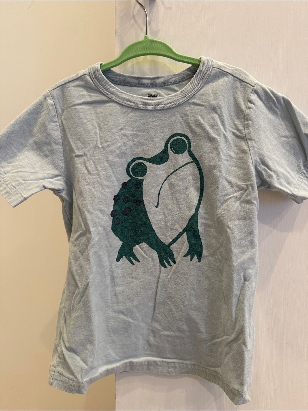 Tea collection Light Blue Tee with Green Frog Graphic